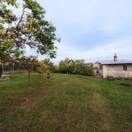 Wine House Znojmo Villa Luaran gambar