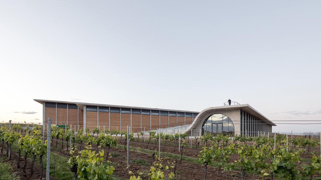 Wine House Znojmo Villa Luaran gambar